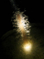   These things pop sand night. Interesting how ray light flashlight passes through its transparent body night  